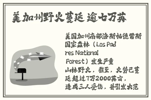在线天天看片**